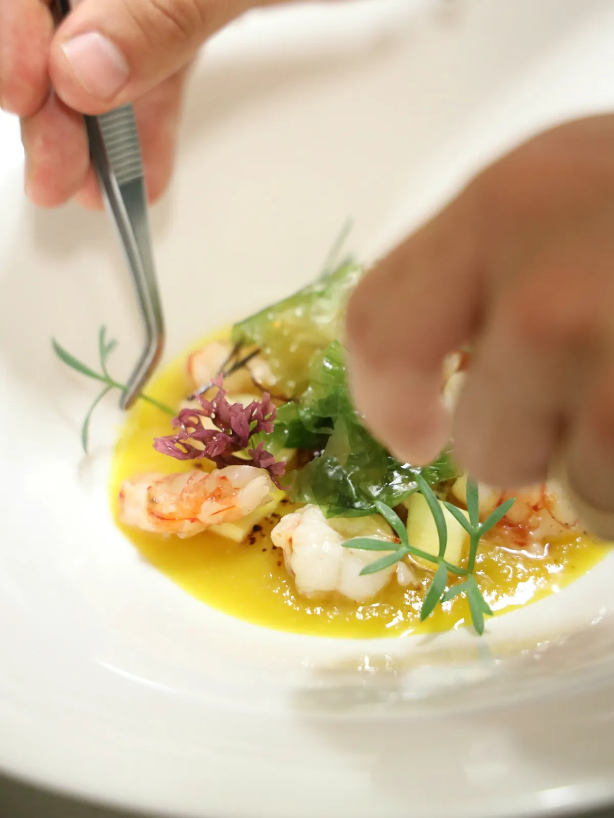 Chef plating a dish